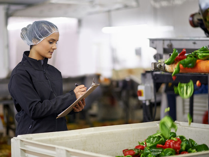Tips To Reduce Food Waste in Your Commercial Kitchen
