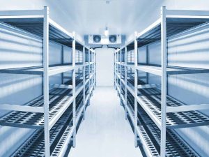 How to Prevent Mold in Your Walk-In Cooler